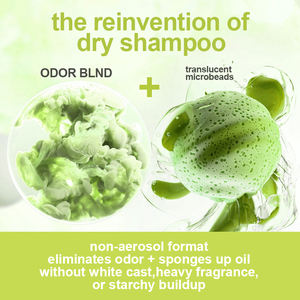 Private Label Haarpflege für trockenes Haar <span class=keywords><strong>Shampoo</strong></span> Hersteller für fettige Kontrolle Umwelt freundliches wasserfreies voluminöses Trocken <span class=keywords><strong>shampoo</strong></span> Spray - Product Image 4