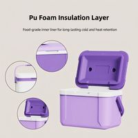 Glacière isotherme moderne 5L en PU, EPS, PE, personnalisable, pour camping en extérieur, stockage vin et aliments, avec poignée