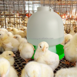 ZZ 0.6L <span class=keywords><strong>ลูก</strong></span>12L 6.5L 4L 1.3L ไก่ลูกเจี๊ยบไก่ลูกเป็ดอัตโนมัติ - Product Image 6