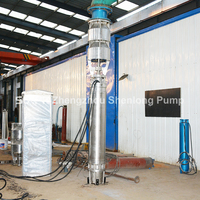Pompe submersible pour puits profond 304SS, débit 120 m3/h, hauteur de refoulement 100 m, irrigation agricole, formation technique complète