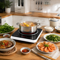 Cuisinière infrarouge électrique 2 en 1, plaque chauffante en céramique 2000W, plaque chauffante portable avec écran tactile numérique
