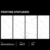 Carreaux de sol et de mur en porcelaine mate 600x1200mm |   Carreaux de sol modernes minimalistes grand format de haute qualité résistants à l'usure pour halls et centres commerciaux