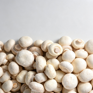 Tranches de champignons surgelées IQF, pré-nettoyées, pour mélange de viande de burger, certifiées IFS, vente en gros - Product Image 5