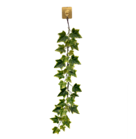 Plante artificielle suspendue de 80 cm, fausse plante grimpante verte pour mur, balcon, café, bureau, décoration intérieure