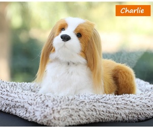 Décoration pour <span class=keywords><strong>voiture</strong></span> de <span class=keywords><strong>chien</strong></span>, en charbon de bambou, mignonne et créative, tête tournante, fournitures de <span class=keywords><strong>voiture</strong></span>, poupée de simulation - Product Image 4