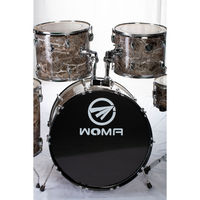 Factory Wholesale/OEM 5-Piece3 Cymbals Compact Professional Jazz Kids Drum Set Musical Instruments & Percussion Instruments