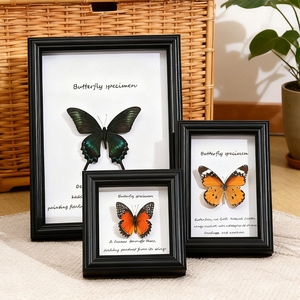 Marco de exhibición de especímenes de mariposas estilo europeo, caja de exhibición de flores y insectos secos con vidrio real para decoración de pared. - Product Image 1