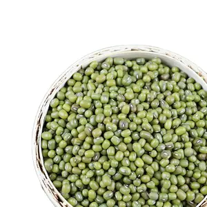 Best Seller Green Mung Beans 3.25mm up Myanmar Origin