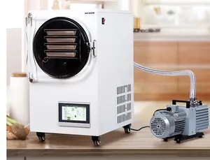 Mini máquina de congelar alimentos a vácuo para casa, máquina liofilizadora de frutas e vegetais, Austrália