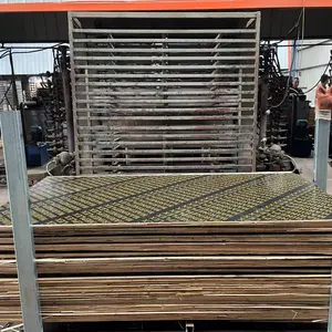 2x6 Pressure Treated Wood Timber For Formwork / Timber Lumber Prices For Sale