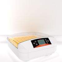 Incubateur d'Œufs 50 Positions EW-56S avec Plateau en Plastique et Testeur, pour Revente