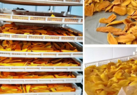 Máquina Automática para Deshidratar Mango, Línea de Producción de Mango Deshidratado, Deshidratador Tipo Bandeja para Frutas, Equipo de Secado