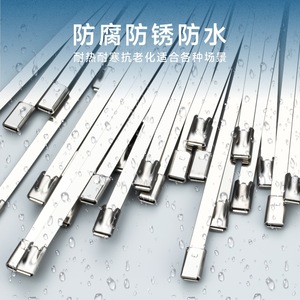 Attaches-câbles en acier inoxydable 304 Easy Buckle, 4,6 mm x 300 mm, auto-bloquantes, pour fixation de tuyaux - Product Image 1