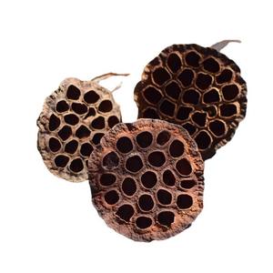 <span class=keywords><strong>ฝัก</strong></span><span class=keywords><strong>บัว</strong></span>แห้งฝักบัวดิบและแห้งโฆษณา - Product Image 5