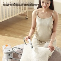 Nettoyeur à vapeur multifonctionnel à haute température pour le nettoyage des fumées de cuisine domestique et l'appareil à haute pression du climatiseur