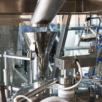 Machine de remplissage et d'emballage automatique multi-têtes VFFS à 8 stations pour sachets de poudre de maïs doux et mini-doypacks, pour l'emballage alimentaire