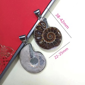 Venta al por mayor de fósiles de caracola natural, colgante de espécimen fósil de amonita arcoíris para collares de dijes - Product Image 4