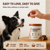 Friandises à mâcher pour chiens 8 champignons complexe immunitaire Curcuma sans céréales Soutient l'immunité, les articulations, la peau, le pelage et la vitalité