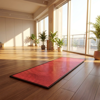 REDSKY 660nm 850nm Selimut Terapi Cahaya Merah Inframerah LED Berdenyut untuk Seluruh Tubuh & Wajah dengan Garansi 2 Tahun untuk Yoga Spa Gym