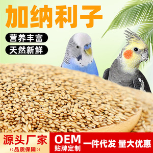 Alimento para pájaros, semillas de hierba para loros, cacatúas, periquitos, canarios, contenedor de plástico reutilizable, forma rectangular, suministro de alimento para mascotas - Product Image 5