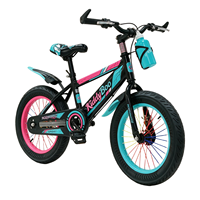 Vélo pour enfants Cycke Frame 16, 18, 20 pouces avec roues d'apprentissage, vélo de sport pour enfants
