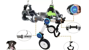 Silla de Ruedas Ajustable de Alta Calidad para <span class=keywords><strong>Perros</strong></span>, Vehículo de Asistencia para Discapacitados, Recuperación de Extremidades Traseras, Marca LIZE, 2 y 4 Ruedas - Product Image 3