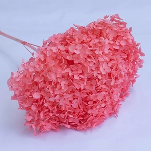 Decoración para Bodas, Panel de Pared de Hortensias Secas Hechas a Mano en 40 Colores, para <span class=keywords><strong>el</strong></span> Día de la Madre y San Valentín - Product Image 1