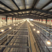 H Cages en batterie automatiques en acier galvanisé avec bande de fumier pour poules pondeuses, équipement avicole pour la production d'œufs, vente en Algérie