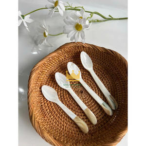 ผู้ผลิตเวียดนามส่งออกช้อนมุกและเปลือกหอยธรรมชาติที่เป็นมิตรกับสิ่งแวดล้อมสำหรับมื้ออาหารค่ำ คุณภาพสูง - Product Image 2