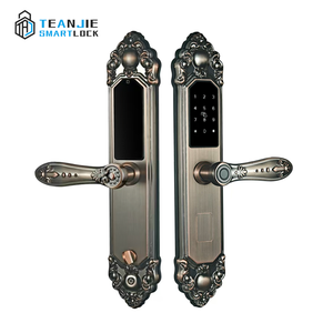 Cổ điển tuya ttlock App kiểm soát đám mây lưu trữ USB giao diện vân tay kỹ thuật số khóa thông minh cho cửa gỗ kim loại cửa - Product Image 3