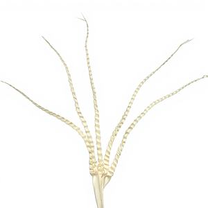 Feuilles artificielles indiennes à cinq doigts, faites à la main, écologiques, en feuilles de palmier, naturelles, transformées, plantes séchées, décoration festive pour fêtes - Product Image 1