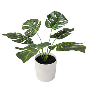 Venta al por mayor directa de la fábrica de hojas de eucalipto Flor de plástico hojas artificiales para la decoración de la boda simulación de plantas verdes - Product Image 3