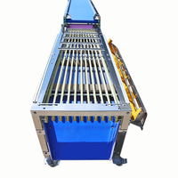Sorteermachine voor maïs, fruit, kersen, lychees, tomaten, bonen, olijven, kleur, klein, vibrerend, model KHPJ-5J, 150KG, weinig onderhoud