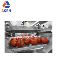 Automatische Wasmachine-En Verpakkingsmachine Voor Fruit