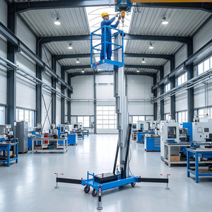 Piattaforma di Sollevamento in Lega di Alluminio a Montante Singolo, Piccolo Elevatore per Manutenzione Domestica Interna, Direttamente dalla Fabbrica - Product Image 2