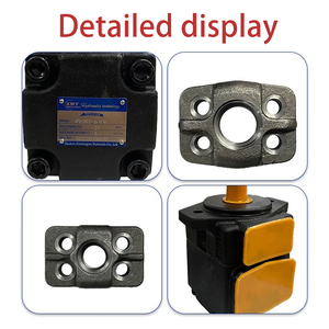 YLC PV2R2 Series Hydraulic Vane Pumps New and Used Condition Available YLC PV2R2 Vane Pump High Strength Cast <b>Iron</b> Hydraulic Pum - Product Image 6