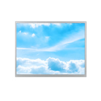 Écran LCD TFT LVDS Innolux G121XCE L02 de 12,1 pouces, résolution 1024x768, IPS, 500 nits, type AG, revêtement dur 3H, pour G121X1 L04