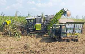 Maquinaria Agrícola China, Cosechadora de Caña de Azúcar sobre Orugas AS60 con Buen Precio - Product Image 4