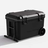 Réfrigérateur de voiture portable en plastique isolé personnalisé de 50 L, glacière isotherme Igloo pour aliments, barbecue, pêche