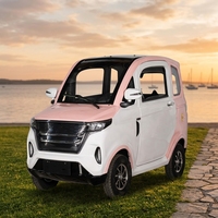 Nouvelle voiture électrique portable EEC, berline mini, propulsion arrière, 50 kW, manuelle, simple transmission, sièges légers, caméra métallique, sans permis de conduire