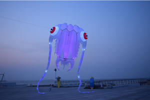 <span class=keywords><strong>Cerf</strong></span>-<span class=keywords><strong>volant</strong></span> en nylon souple 3D Trilobite LED Performance de plage par <span class=keywords><strong>cerf</strong></span>-<span class=keywords><strong>volant</strong></span> gonflable géant - Product Image 6