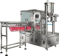 Machine remplissante et de capsulage complètement automatique pour l'eau debout de jus de poche