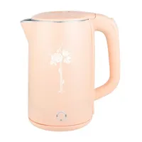 Fournisseur professionnel Théière Bouilloire saine portable Eau chaude rapide anti-surchauffe Bouilloire électrique en acier inoxydable 1,7 L