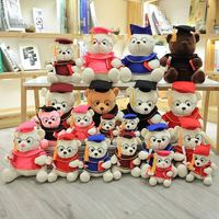 Style Livraison Gratuite Animal En Peluche Cadeau Grad Graduation Ours Peau Personnalisé En Gros Teddy Peluche Unisexe Peluches Ours En Peluche 10pcs