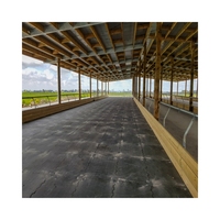 Ferme à ia économique pour nouveauté, plantes de ferme à ia pour bétail de vache, grange de construction avec clôture