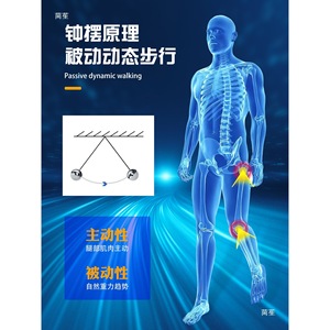 Exosquelette de genou pour la marche, gris foncé, pour la randonnée en extérieur et l'escalade - Product Image 5