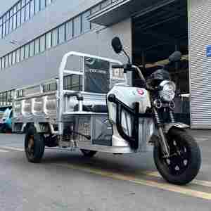 Penjualan terlaris TECREK sepeda motor roda tiga elektrik sepeda motor 3 roda kargo elektrik becak - Product Image 2