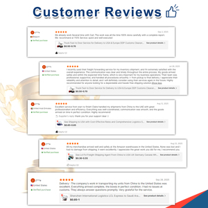 Les sociétés d'expédition de fret en Chine offrent le fret maritime Lcl pour le transport maritime de la Chine vers l'Italie, la Nouvelle-Zélande, les États-Unis et le Canada - Product Image 6