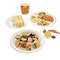 Assiette jetable biodégradable en bagasse de qualité supérieure, ronde, naturelle/blanche, à compartiments, 6/7/9/10 pouces