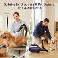 Sèche-cheveux professionnel Shernbao SMD-06 Pro pour toilettage, séchoir pour animaux de compagnie, machine de séchage pour chiens et chats, souffleur d'air chaud et froid